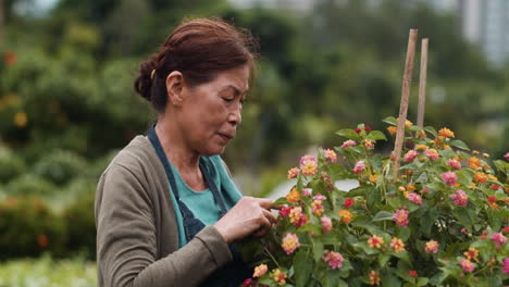 Gardener-touching-and-smelling-flowers