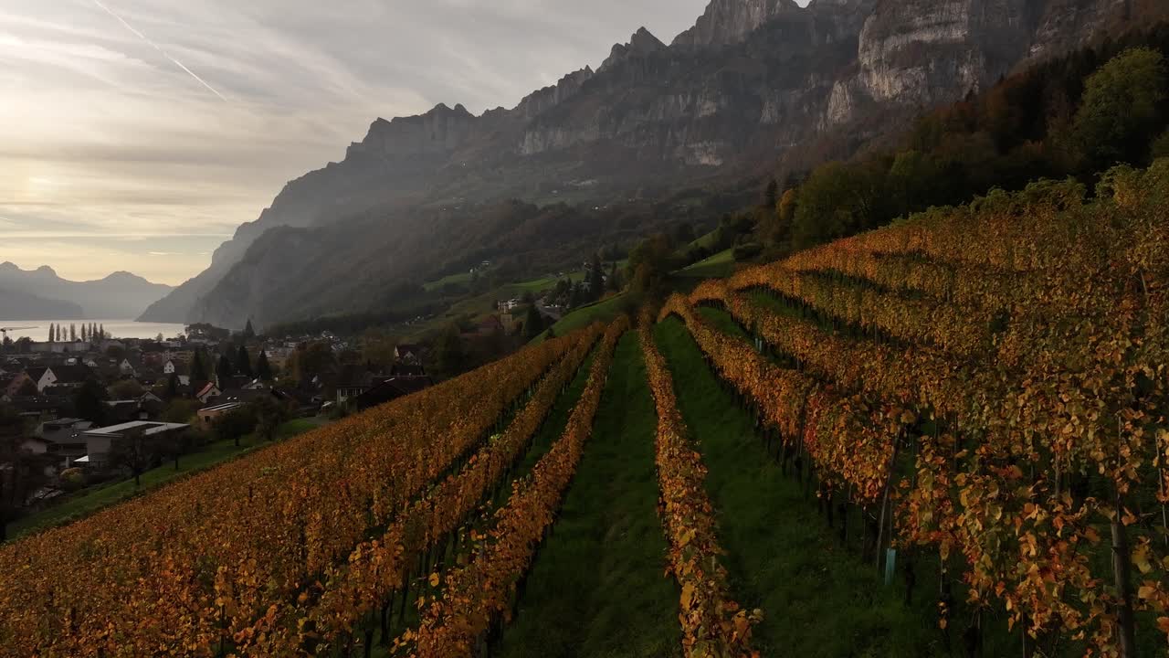 Superbe vue aérienne d'un vignoble dans les Alpes suisses en automne