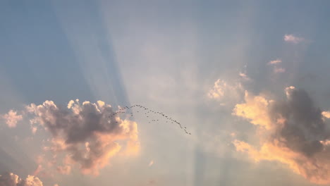 cloudscape with heavenly sunset with flock of birds flying above