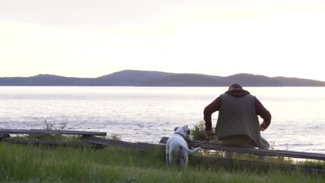 caucasian man walking dog on grassy shore by the lake in washington park, anacortes, washington state, usa. wide