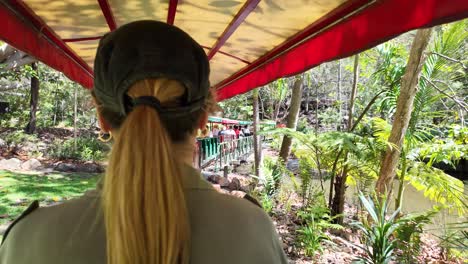 Frauen-Sehen-Sich-Etwas-An,-Während-Sie-In-Einem-Kleinen-Zug-über-Eine-Malerische-Brücke-In-Einem-Naturschutzpark-Fahren