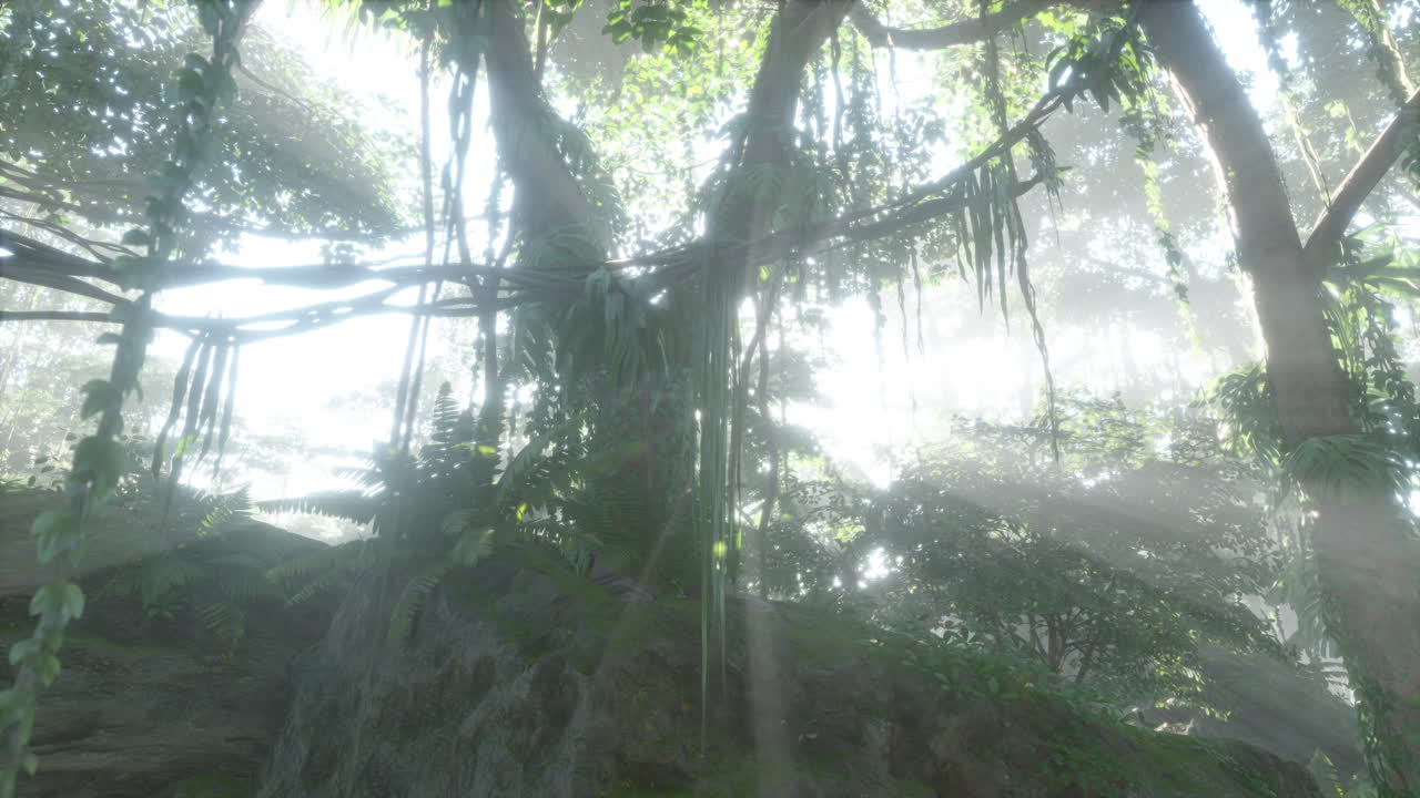 밝은 초록색 모스로  ⁇ 인 열대우림 안의 사진