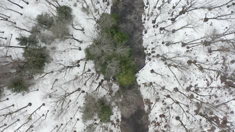 Northern-New-York-Flying-Looking-Down-On-Forest---4k-Aerial