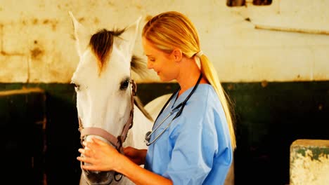 veterinario mirando el caballo en el establo 4k