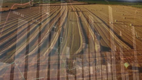animación de las estadísticas y el procesamiento de datos financieros en el ámbito de la agricultura