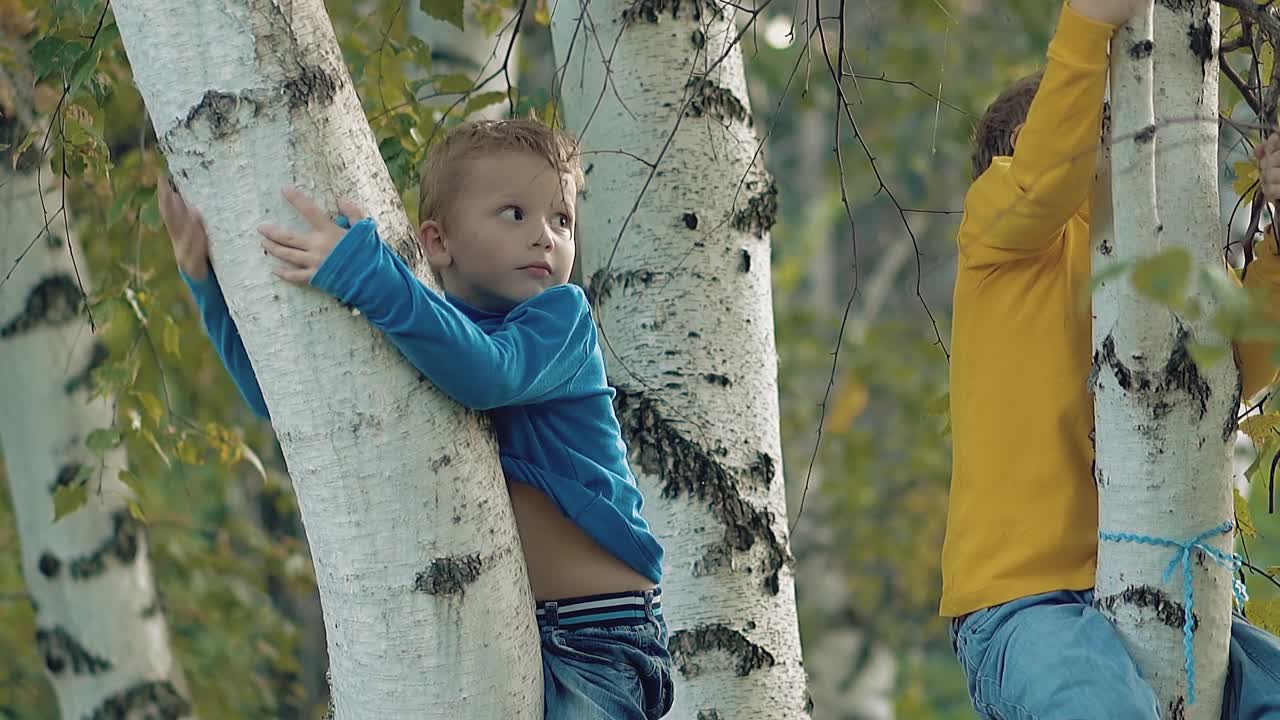 나무에서 내려오는 아이들 중 한 명이 미소 짓고 있다.