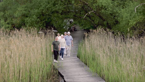 un grupo de alegres amigos mayores caminando al aire libre