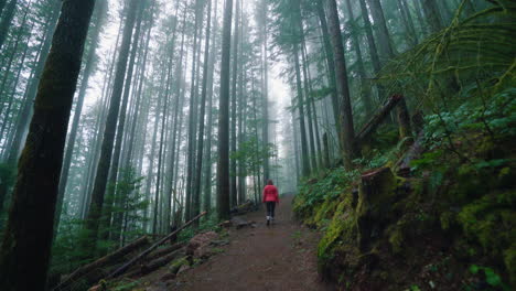 Girl hiking though misty alpine forest trail in Washington State