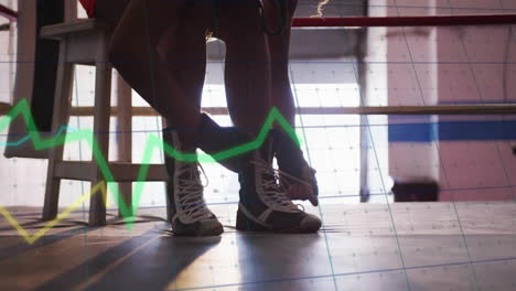 boxer tying shoes in gym with financial graph animation overlay