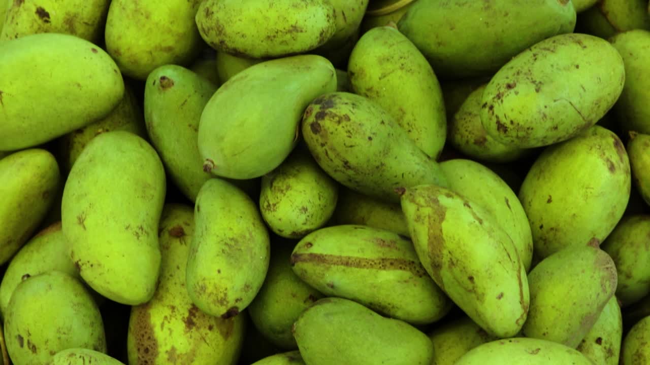 mangos orgánicos frescos sin madurar de la granja cerca desde un ángulo diferente