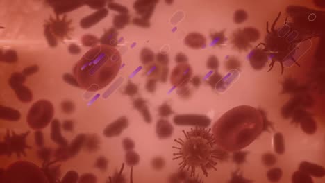 animation of moving cells over red background