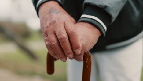 hands, cane and elderly man in nature for walking