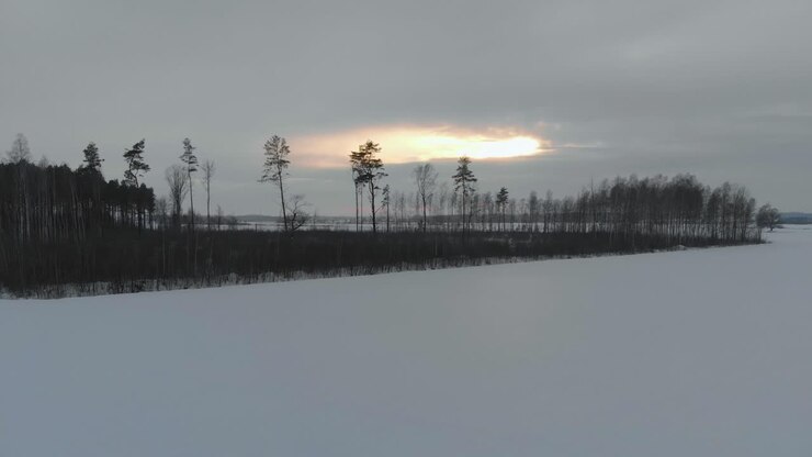Splendida vista del paesaggio invernale bianco in Lettonia, Curlandia, drone in volo laterale