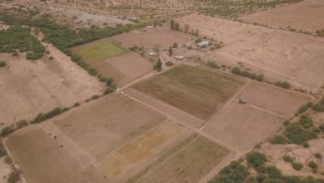 vista de un avión no tripulado volando alrededor de una plantación cercana durante un día nublado en méxico