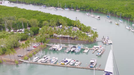 aerial footage captures yachts docked in a lush marina surrounded by greenery in port douglas, australia, under soft daylight