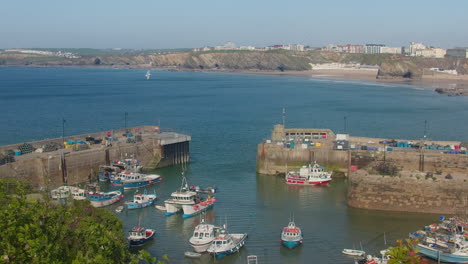 Seagull-Flying-Close-Above-Newquay-Harbour-In-Cornwall,-UK-With-Fishing-Boats-Moored-On-A-Sunny-Day,-slow-motion