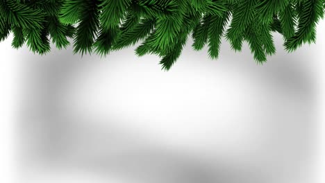 Green-christmas-tree-branches-with-copy-space-on-grey-background