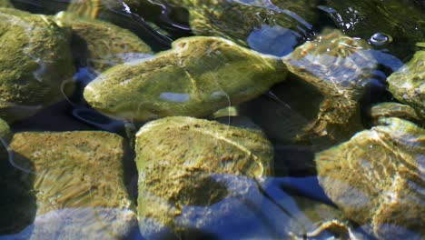 close up of water flowing over rocks