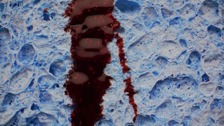 Red Glitter Stain on Blue Sponge