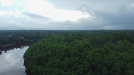 Drone-view-of-river-in-Rompin-Pahang,-Malaysia