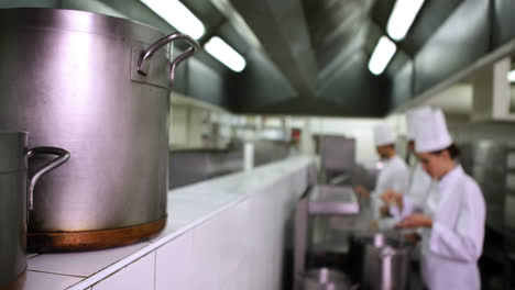 cocineros trabajando en la estufa