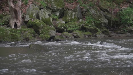 Wissahickon-Creek,-water-flowing-over-rocks-past-trees