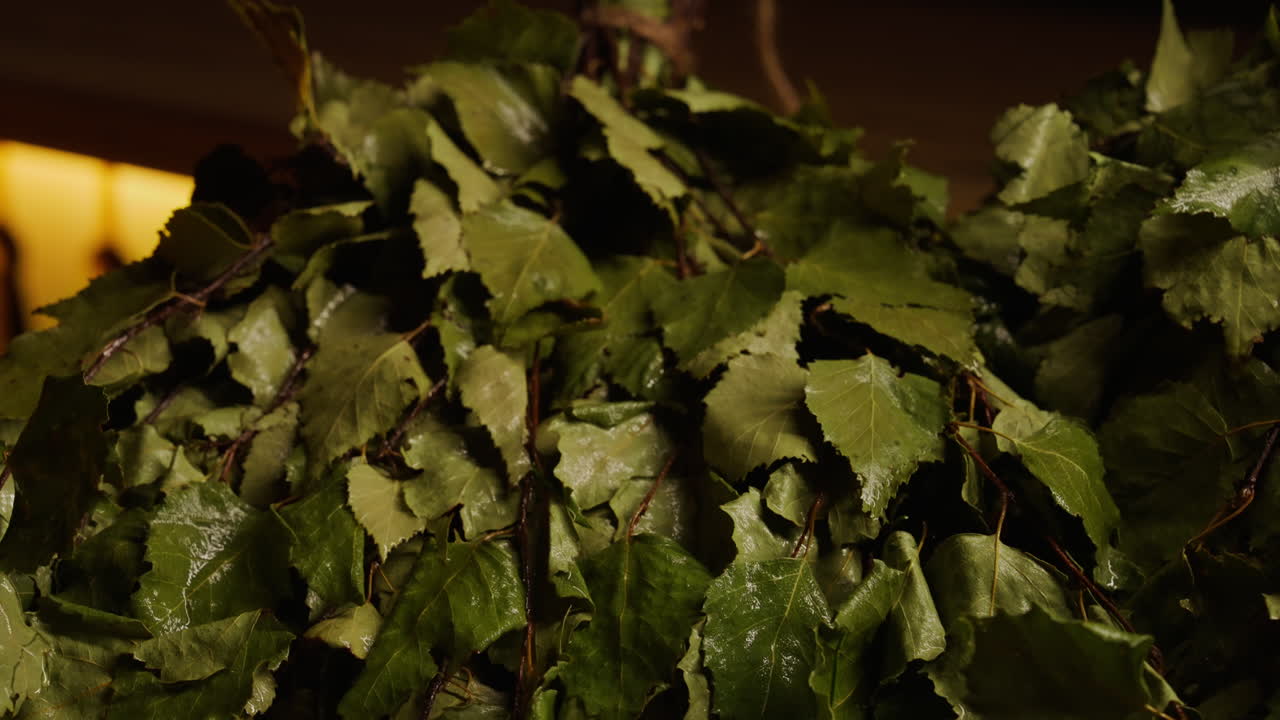 Birch Broom for a Traditional Russian Bath