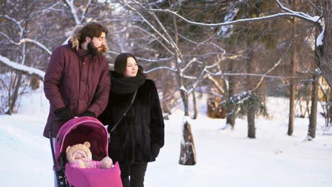 family walk in winter park