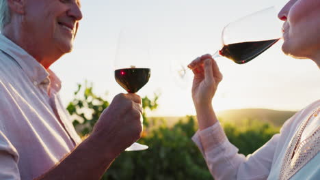 una pareja disfrutando de la degustación de vino en un viñedo al atardecer
