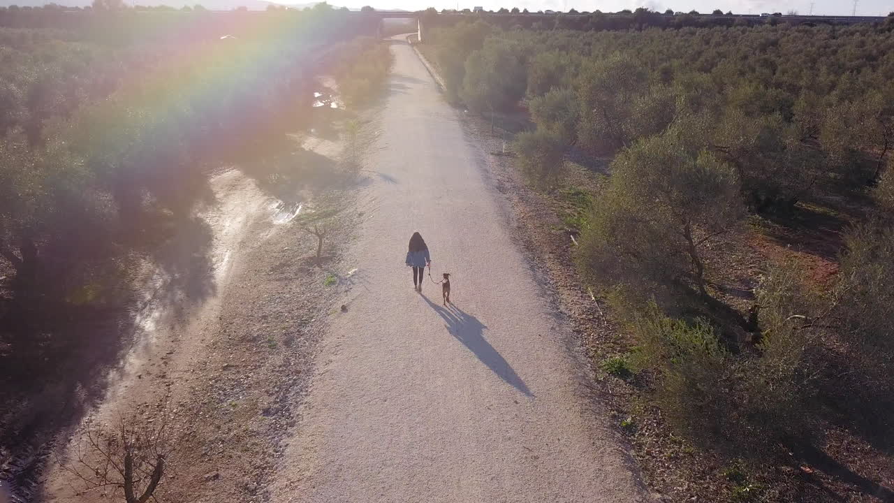 Teen walking with his dog on a path among olive trees
