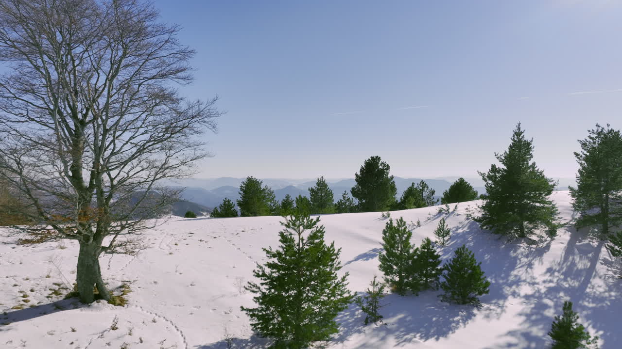 Serene Winter Mountain Landscape with Snow and Pine Trees