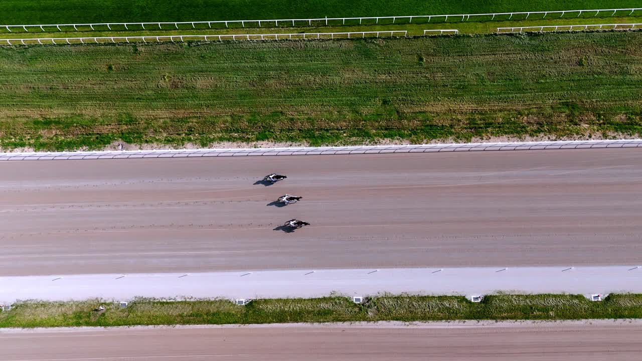 aerial bird eye view of horses hooves trotting in slow motion on a Milan racecourse drone top down