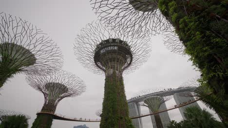 experience the awe-inspiring garden by the bay's towering super trees