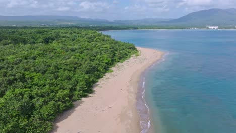 aerial perspective of playa bergantín in puerto plata: caribbean waves and coastal vegetation in harmony