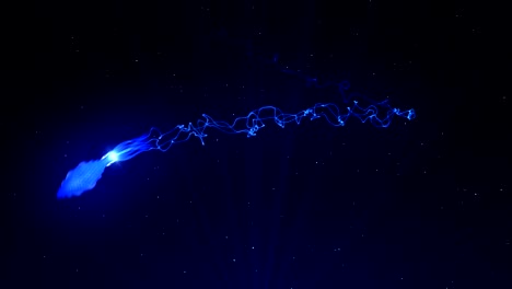 calamar iluminado con luz de color en el agua, animación cg, bucle