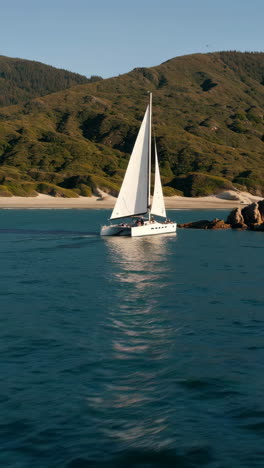 sailing catamaran in a beautiful bay