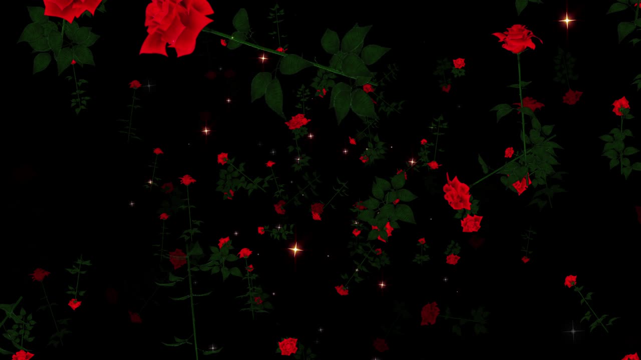 장미 꽃 입자 루프 애니메이션