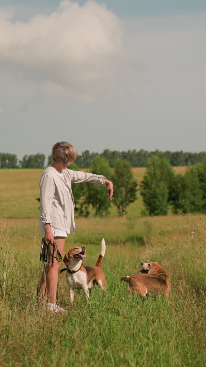 el amante de las mascotas instruye juguetónamente al perro a darse la vuelta mientras el segundo perro mira a la mano con la lengua afuera, ambos perros comprometidos y emocionados, día soleado en un campo de hierba, rodeado de exuberante vegetación