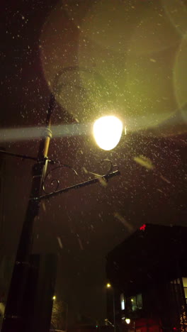 vintage streetlamp shining through light snowfall on a snowy street in st. catharines at night, vertical static low angle looking up