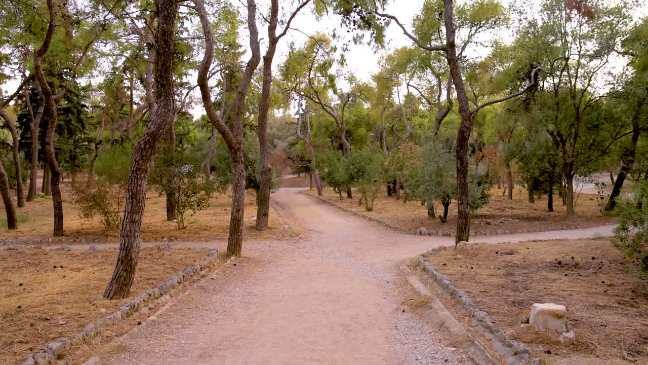 아테네의 나무로 둘러싸인 평화로운 길