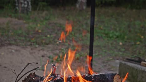 Lagerfeuergrill-Oder-Feuerstellengrill-Mit-Brennendem-Hellem-Holz-Im-Feuerraum