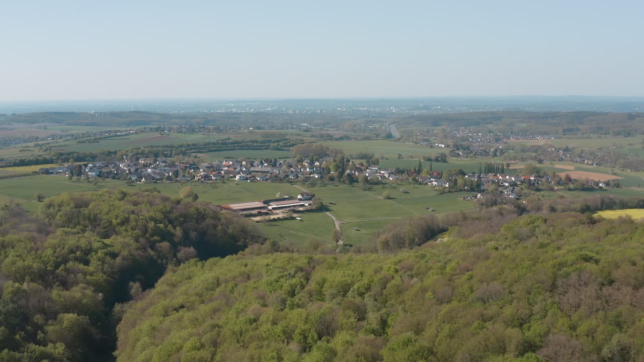 drone - panorama aéreo vuela sobre una pradera con hierba, árboles, arbustos y colza amarilla 25p