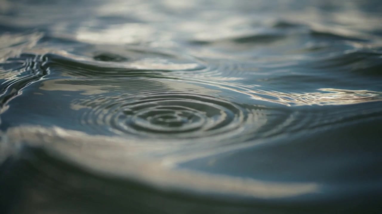 La superficie dell'acqua forma piccole creste e genera increspature circolari in primo piano su uno stagno con bagliori.