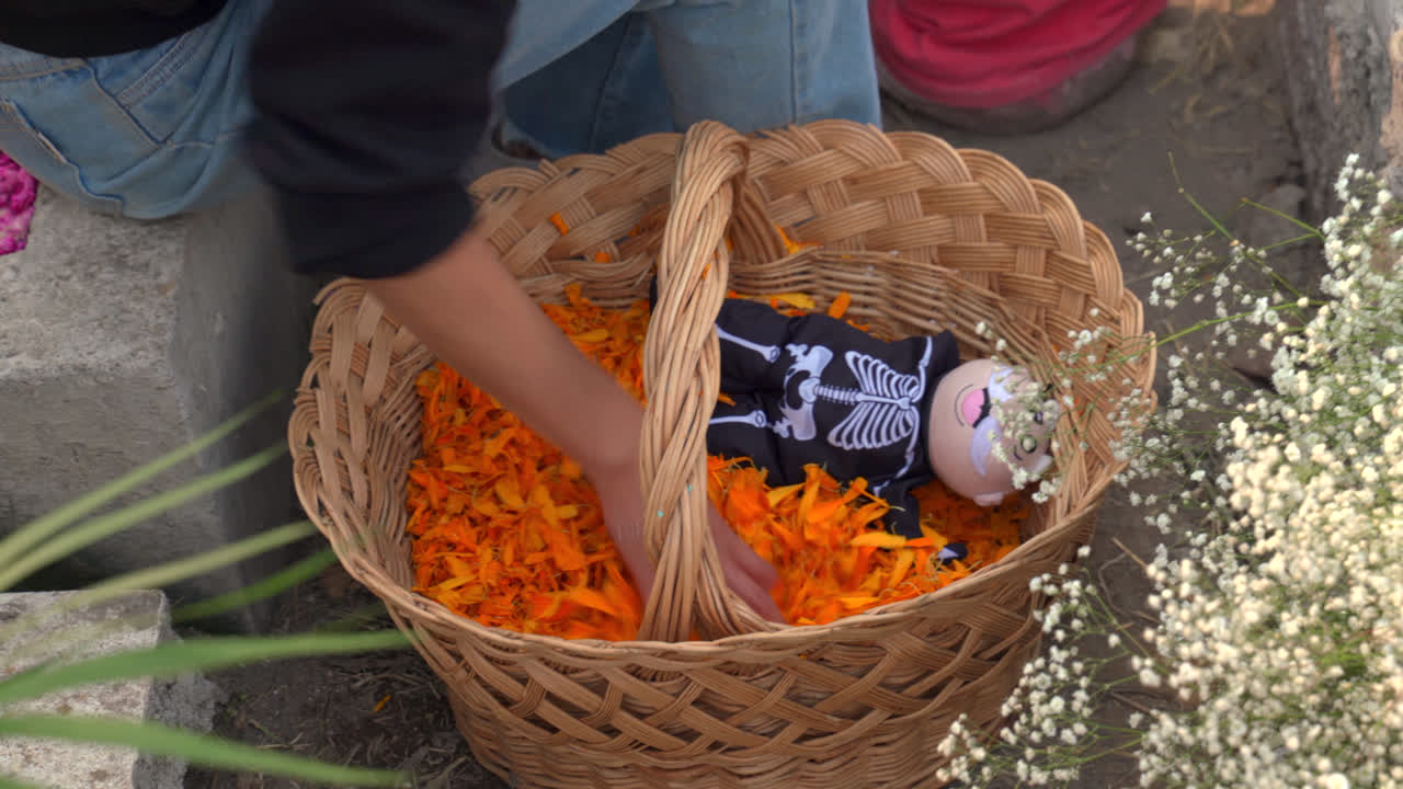 Hands place marigold petals and candles on grave during Day of the Dead offering ritual in Mexico, medium overview