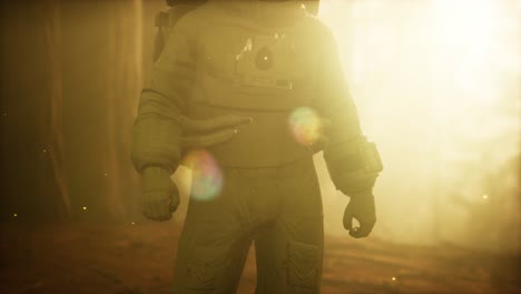 astronauta solitario en el bosque oscuro