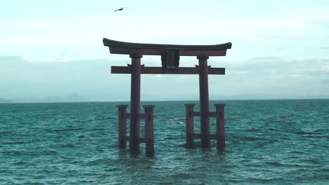 Gaviotas-Volando-Alrededor-De-La-Famosa-Puerta-Torii-En-El-Lago-Biwako-En-El-Santuario-Shirahige-Jinja-En-Shiga,-Japón