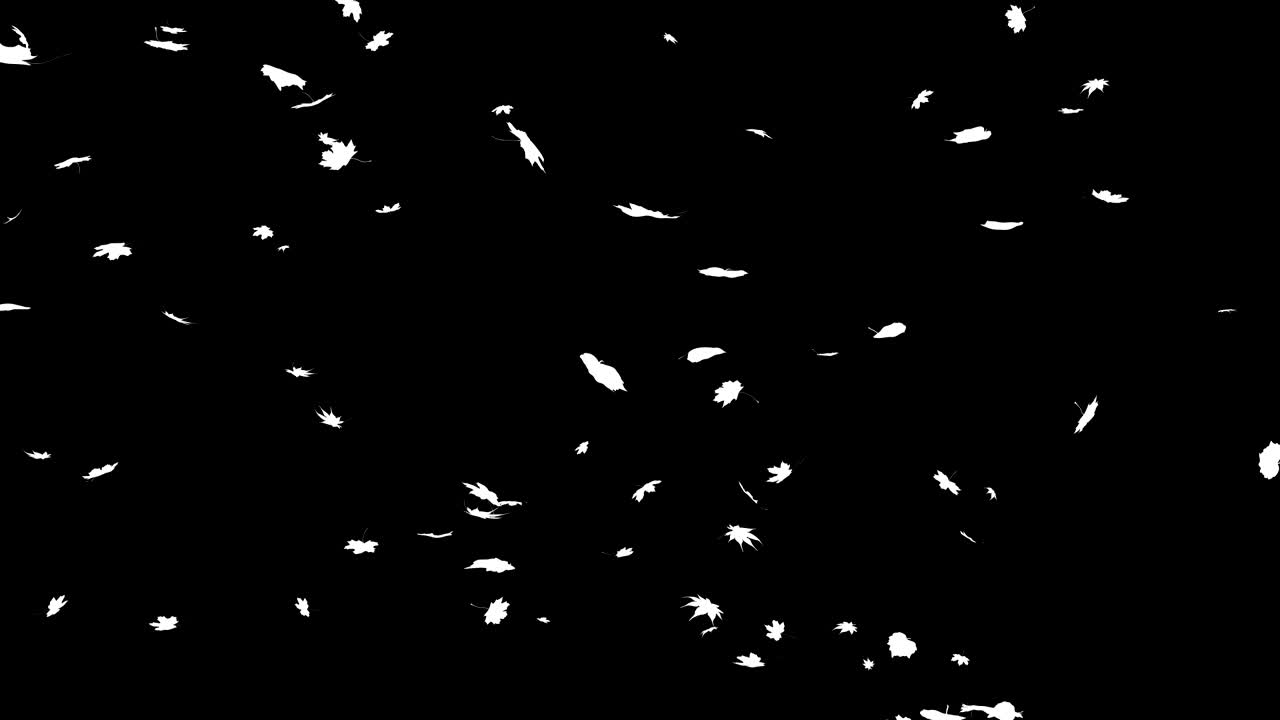 4k 잎이 떨어지는 알파 루프