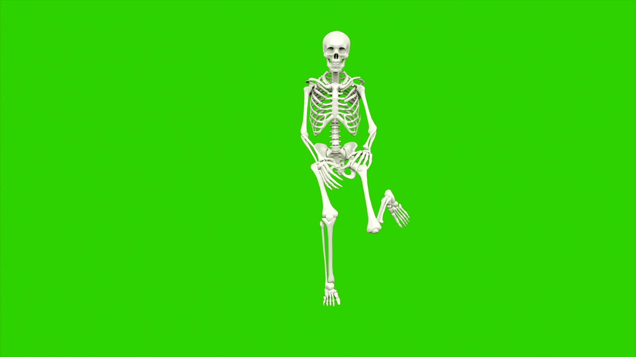 danza dello scheletro. animazione a loop senza soluzione di continuità sullo schermo verde.