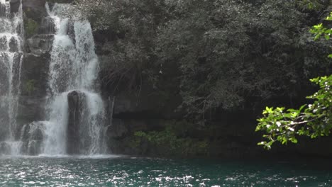 Cascada-A-Cámara-Lenta-En-La-Selva-Tropical-De-Mauricio