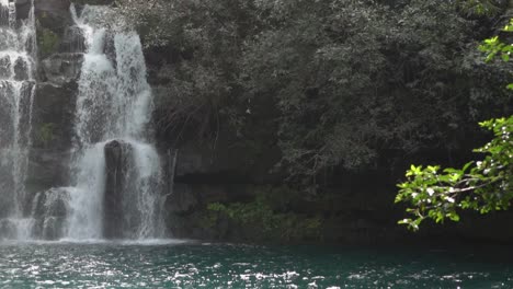 slow-motion waterfall in the rainforest of mauritius